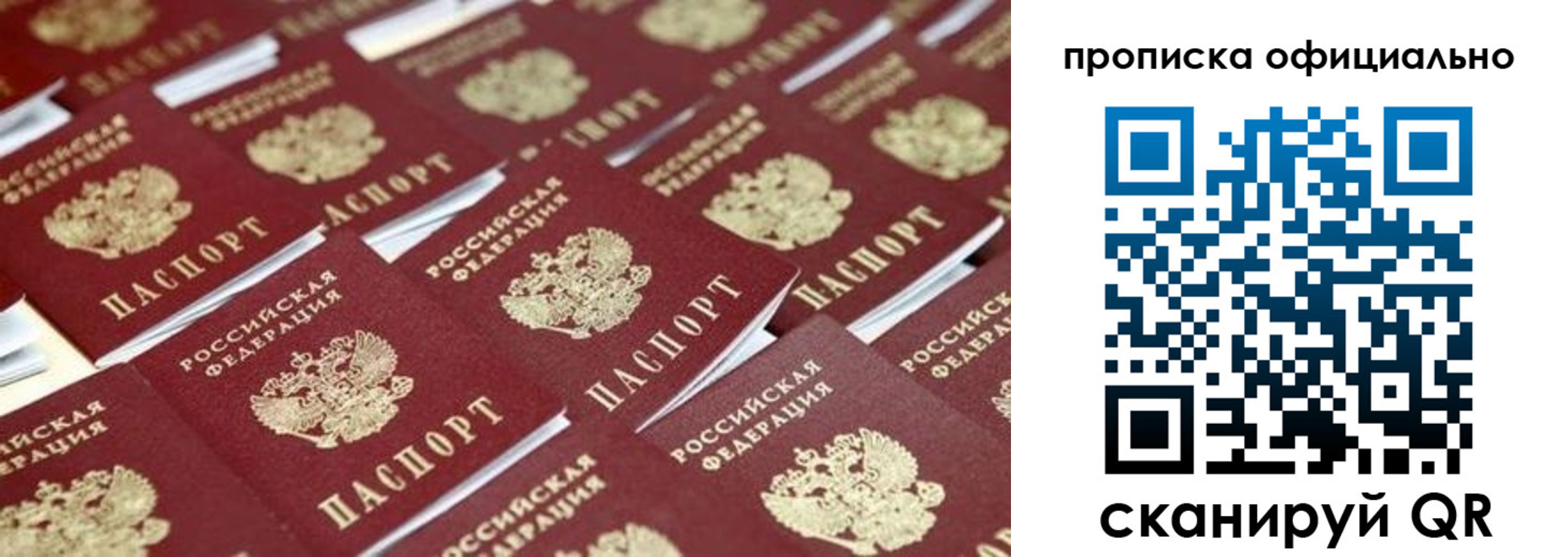 прописка гарантия в Ворсме